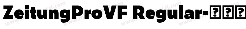 ZeitungProVF Regular字体转换